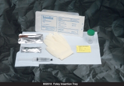 BARDIA Foley Insertion Tray with 10 cc Syringe and PVI Swabs