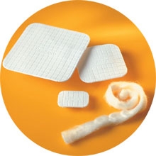 Biatain Alginate Dressing 4" x 4"