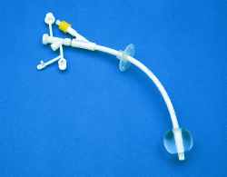 Kangaroo Gastrostomy Feeding Tube with Y-ports 5 mL, 12 Fr