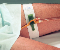 Hold-n-Place Foley Catheter Holder Leg Band, Up to 20"