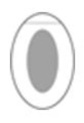 Shapes#3 Silver Oval PolyMeric Membrane Dressing