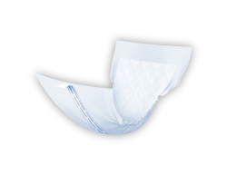 Dignity UltraShield Active Liner, Light/Moderate