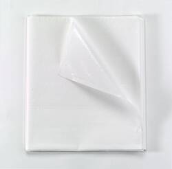 SHEET, STRETCHER FABRICEL WHT 40X84 (50/CS)